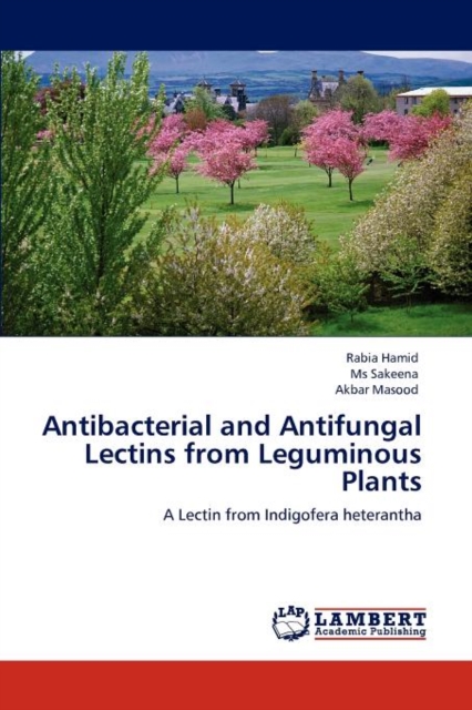 Antibacterial and Antifungal Lectins from Leguminous Plants, Paperback / softback Book