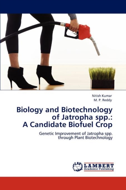 Biology and Biotechnology of Jatropha Spp. : A Candidate Biofuel Crop, Paperback / softback Book