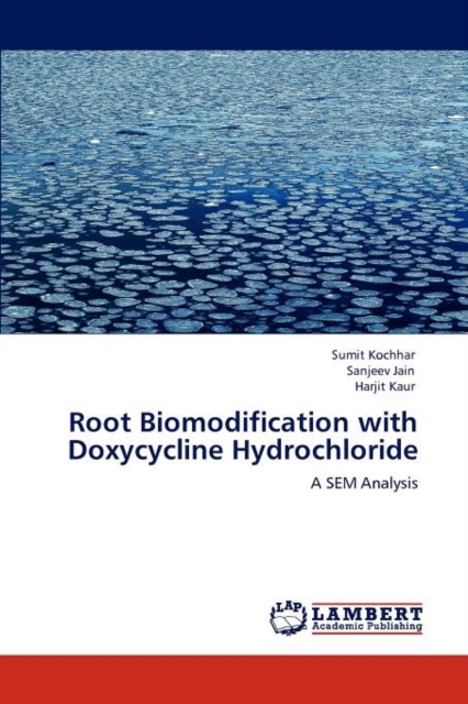 Root Biomodification with Doxycycline Hydrochloride, Paperback / softback Book