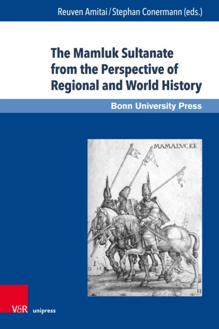 The Mamluk Sultanate from the Perspective of Regional and World History : Economic, Social and Cultural Development in an Era of Increasing International Interaction and Competition, PDF eBook