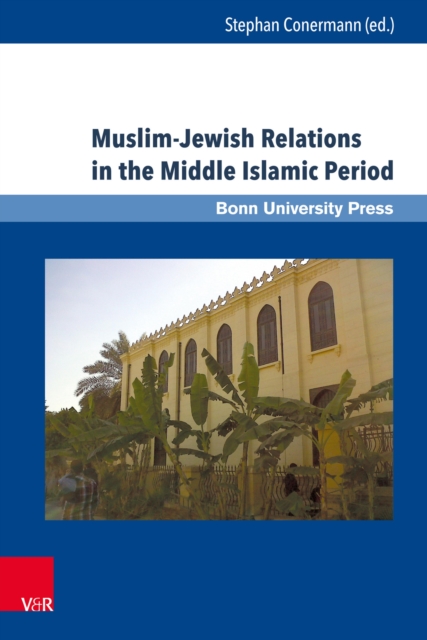 Muslim-Jewish Relations in the Middle Islamic Period : Jews in the Ayyubid and Mamluk Sultanates (1171-1517), PDF eBook