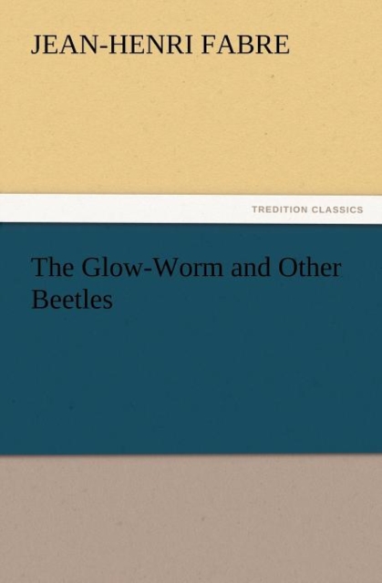 The Glow-Worm and Other Beetles, Paperback / softback Book