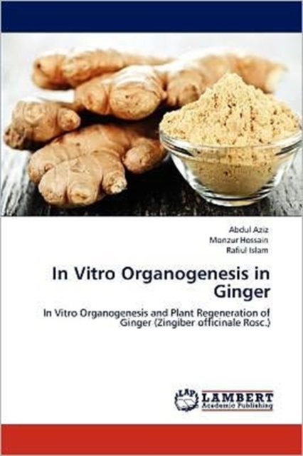 In Vitro Organogenesis in Ginger, Paperback / softback Book