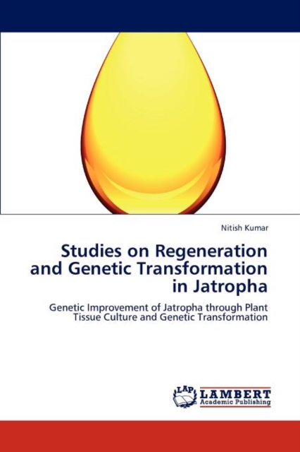 Studies on Regeneration and Genetic Transformation in Jatropha, Paperback / softback Book
