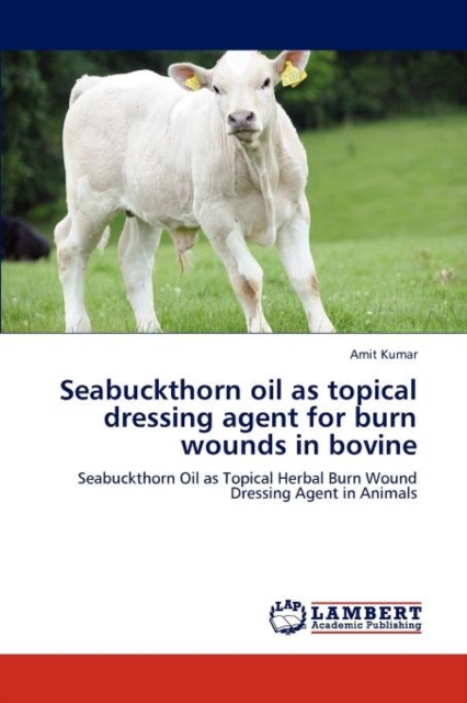 Seabuckthorn oil as topical dressing agent for burn wounds in bovine, Paperback / softback Book