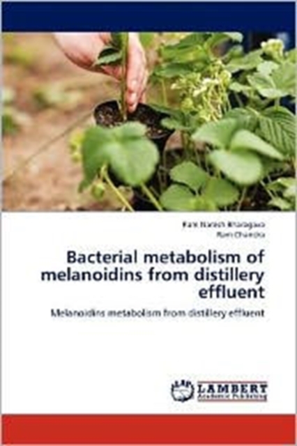 Bacterial Metabolism of Melanoidins from Distillery Effluent, Paperback / softback Book