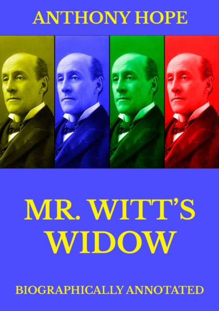 Mr Witt's Widow, EPUB eBook