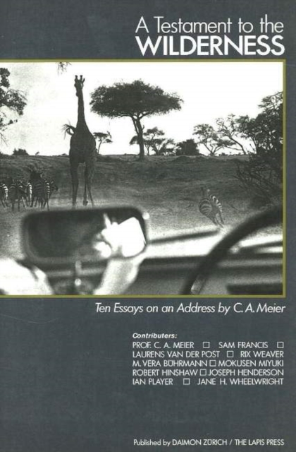 Testament to the Wilderness : Ten Essays on an Address by C A Meier, Paperback / softback Book