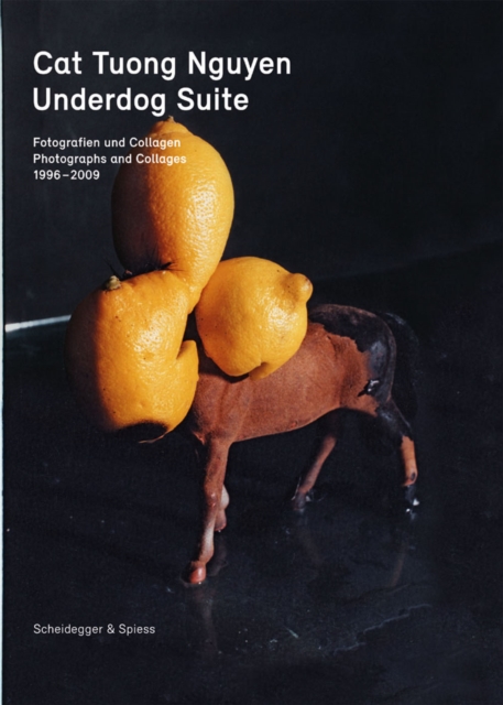 Underdog Suite : Photographs and Collages 1998-2009, Hardback Book