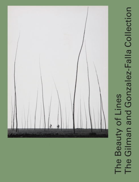 The Beauty of Lines : The Gilman and Gonzalez-Falla Collection, Hardback Book