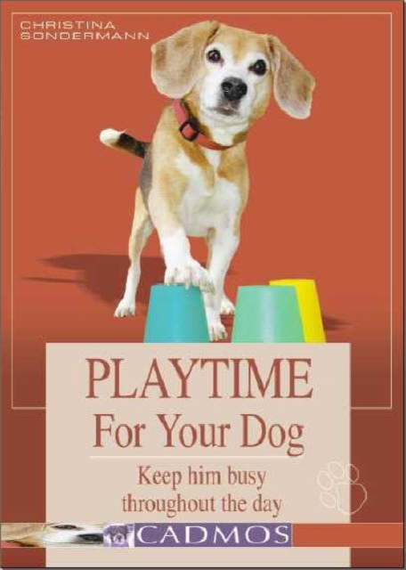 Playtime for Your Dog : Keep Him Busy Throughout the Day, Hardback Book