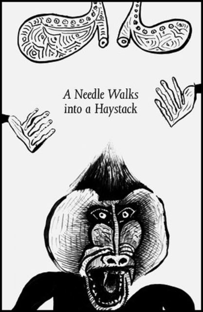 Liverpool Biennial 2014 : A Needle Walks into a Haystack, Paperback / softback Book