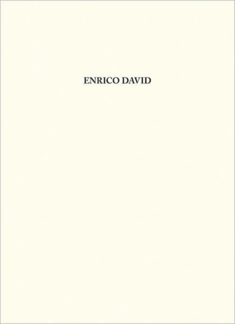 Enrico David, Hardback Book