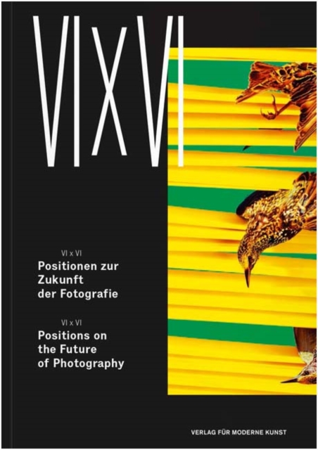 VI X VI : Positions on the Future of Photography, Paperback Book