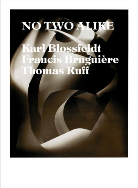 No Two Alike : Karl Blossfeldt, Francis Bruguiere, Thomas Ruff, Paperback / softback Book