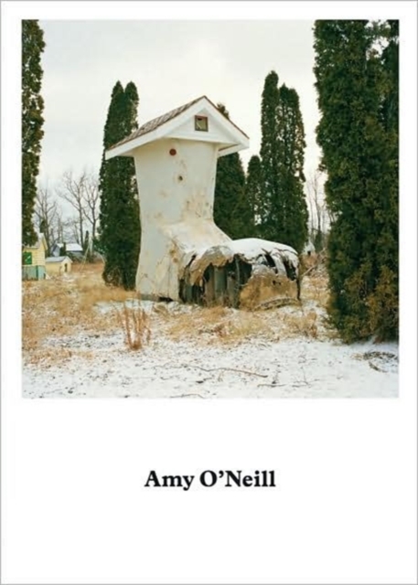 Amy O'Neill : Suburban Imagination, Hardback Book