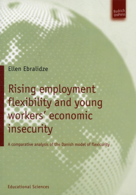 Rising employment flexibility and young workers' economic insecurity : A comparative analysis of the Danish model of flexicurity, Paperback / softback Book
