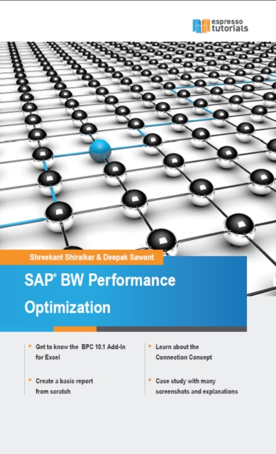 SAP BW Performance Optimization, EPUB eBook