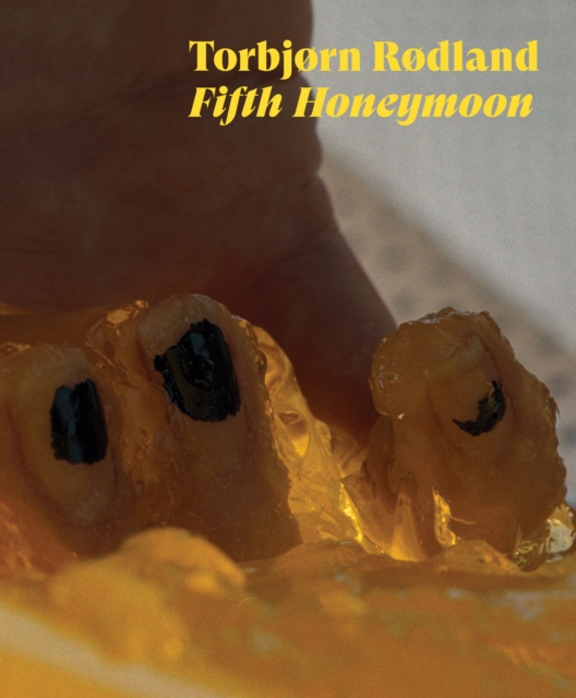 Fifth Honeymoon, Hardback Book