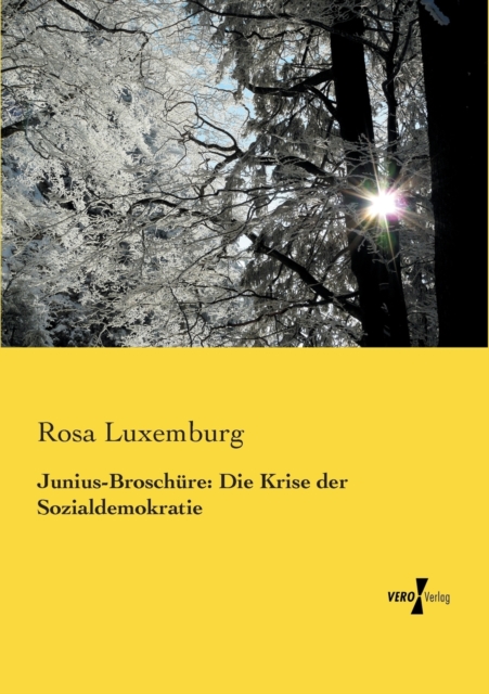 Junius-Broschure : Die Krise der Sozialdemokratie, Paperback / softback Book