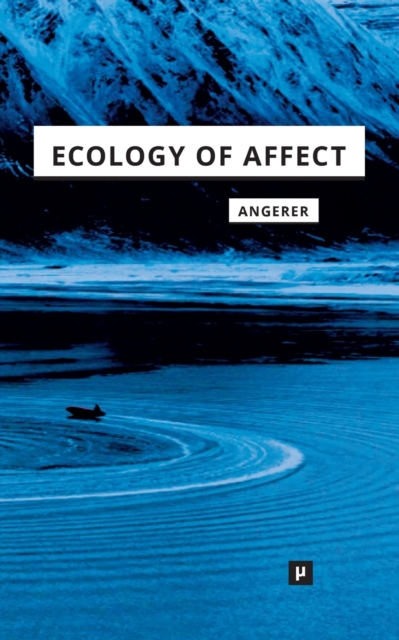 Ecology of Affect : Intensive Milieus and Contingent Encounters, Paperback / softback Book