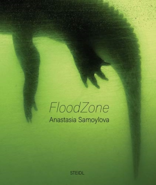 Anastasia Samoylova: FloodZone, Hardback Book