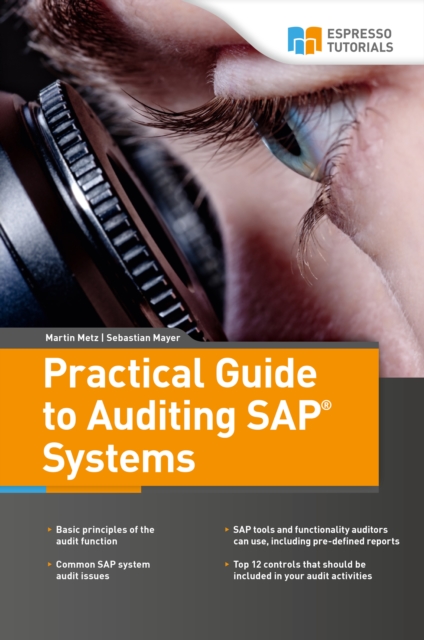 Practical Guide to Auditing SAP Systems, EPUB eBook