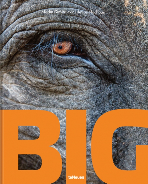 Big : A Photographic Album of the World's Largest Animals, Hardback Book