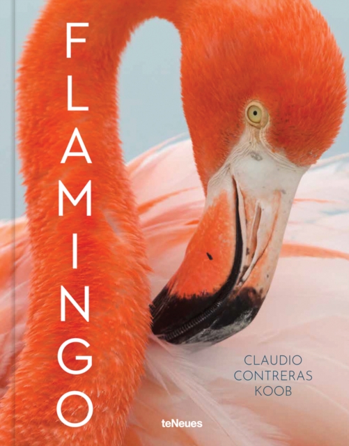 Flamingo, Hardback Book