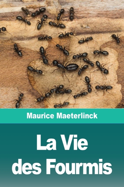 La Vie des Fourmis, Paperback / softback Book