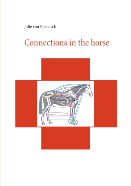Connections in the horse, Paperback / softback Book