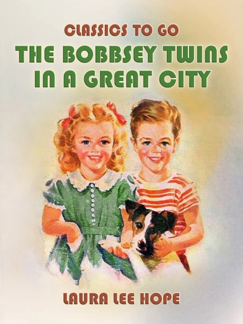 The Bobbsey Twins In A Great City, EPUB eBook