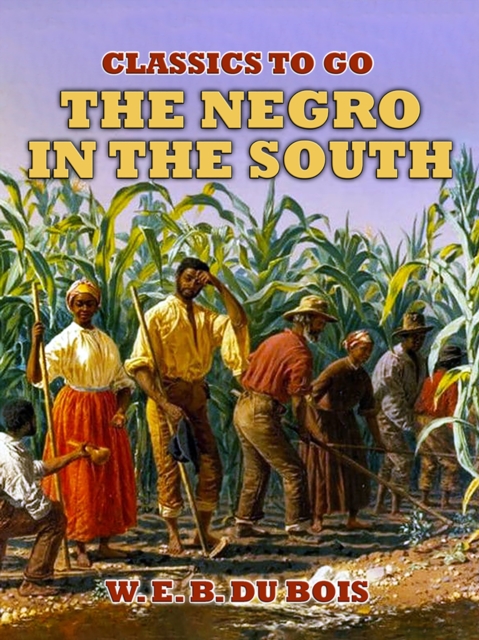 The Negro In The South, EPUB eBook