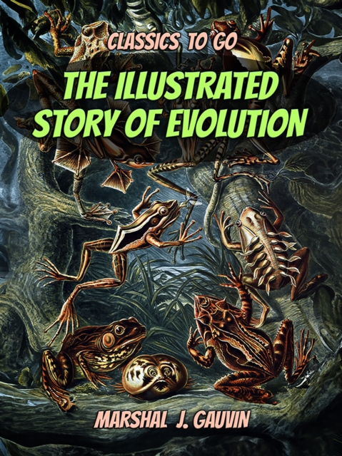 The Illustrated Story of Evolution, EPUB eBook