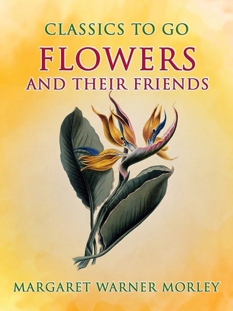 Flowers And Their Friends, EPUB eBook