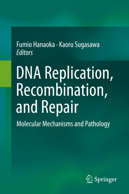 DNA Replication, Recombination, and Repair : Molecular Mechanisms and Pathology, PDF eBook