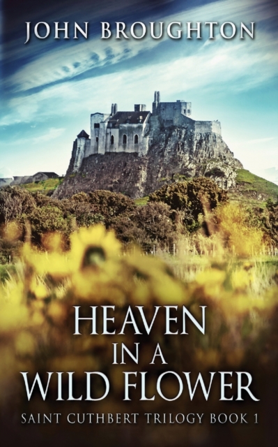Heaven In A Wild Flower : Tale Of An Anglo-Saxon Leatherworker On Lindisfarne, Paperback / softback Book