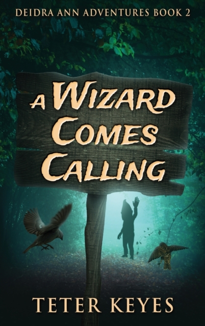 A Wizard Comes Calling, Hardback Book