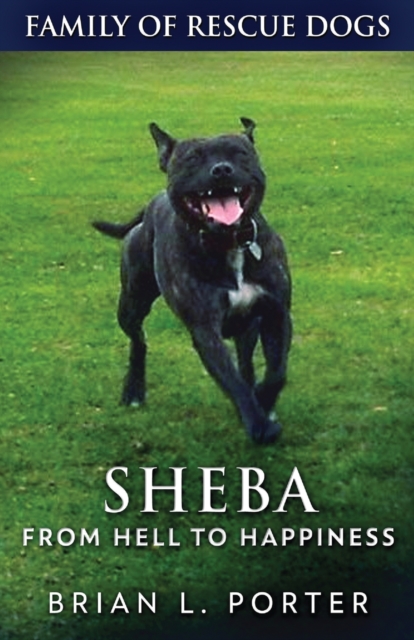 Sheba - From Hell to Happiness, Paperback / softback Book