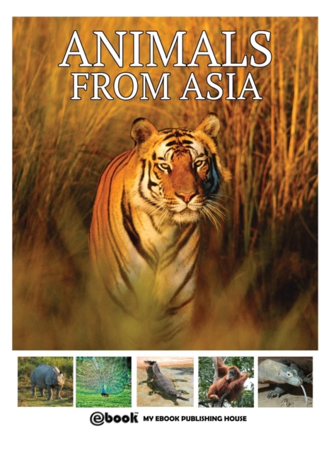 Animals from Asia, Paperback / softback Book