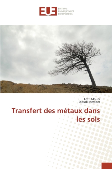 Transfert Des Metaux Dans Les Sols, Paperback / softback Book