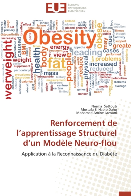 Renforcement de L Apprentissage Structurel D Un Mod le Neuro-Flou, Paperback / softback Book