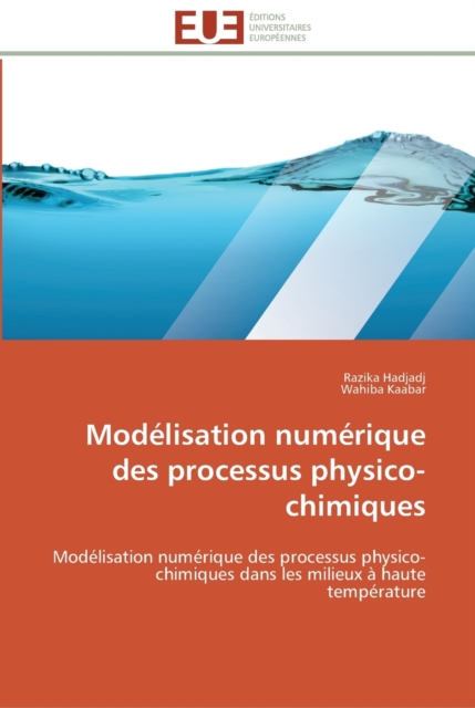 Modelisation numerique des processus physico-chimiques, Paperback / softback Book