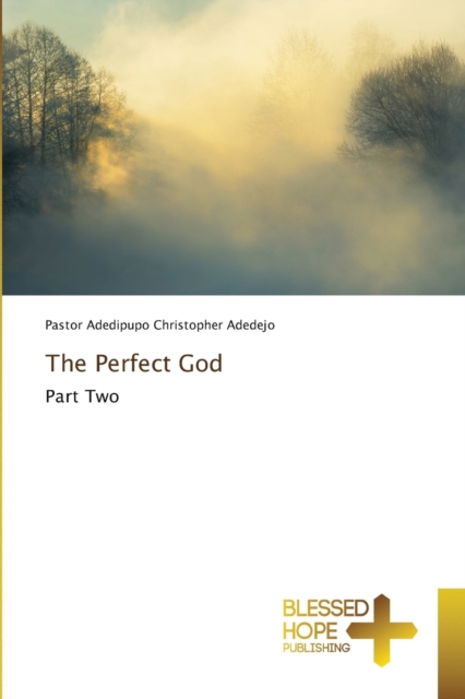 The Perfect God, Paperback / softback Book