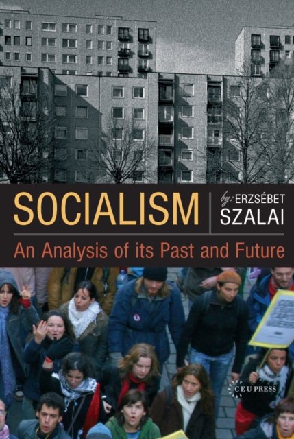 Socialism : An Analysis of its Past and Future, PDF eBook