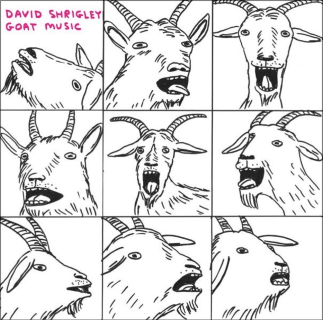 David Shrigley : Goat Music, Other audio format Book