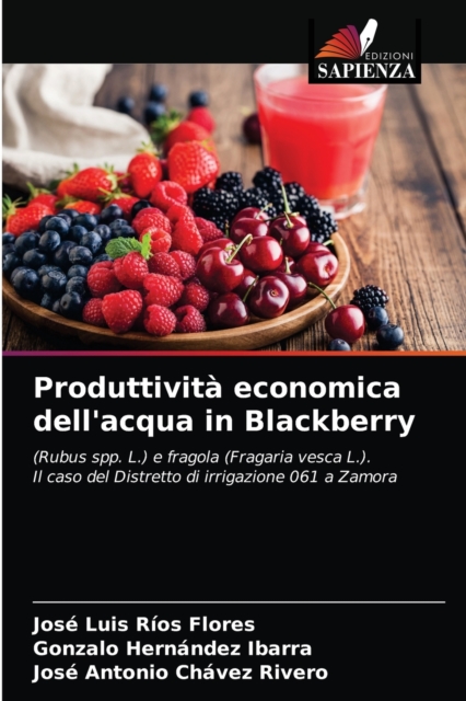 Produttivita economica dell'acqua in Blackberry, Paperback / softback Book
