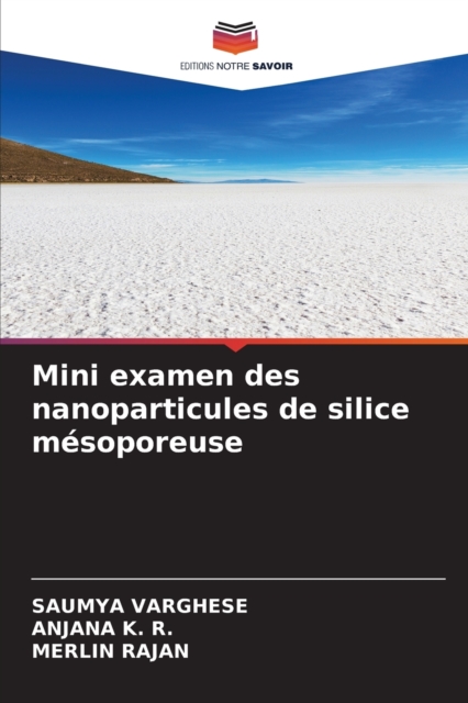Mini examen des nanoparticules de silice mesoporeuse, Paperback / softback Book