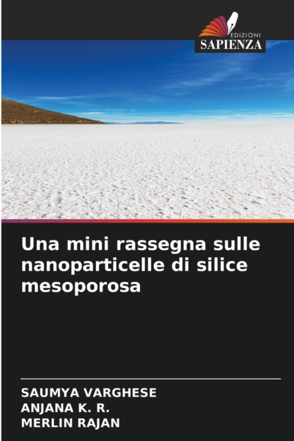 Una mini rassegna sulle nanoparticelle di silice mesoporosa, Paperback / softback Book