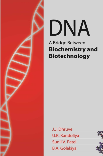 DNA: A Bridge Between Biochemistry and Biotechnology, Paperback / softback Book